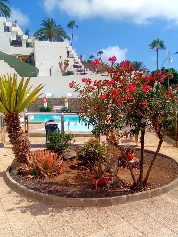 Most Sunny Days On Gran Canaria Пуерто Рико Екстериор снимка