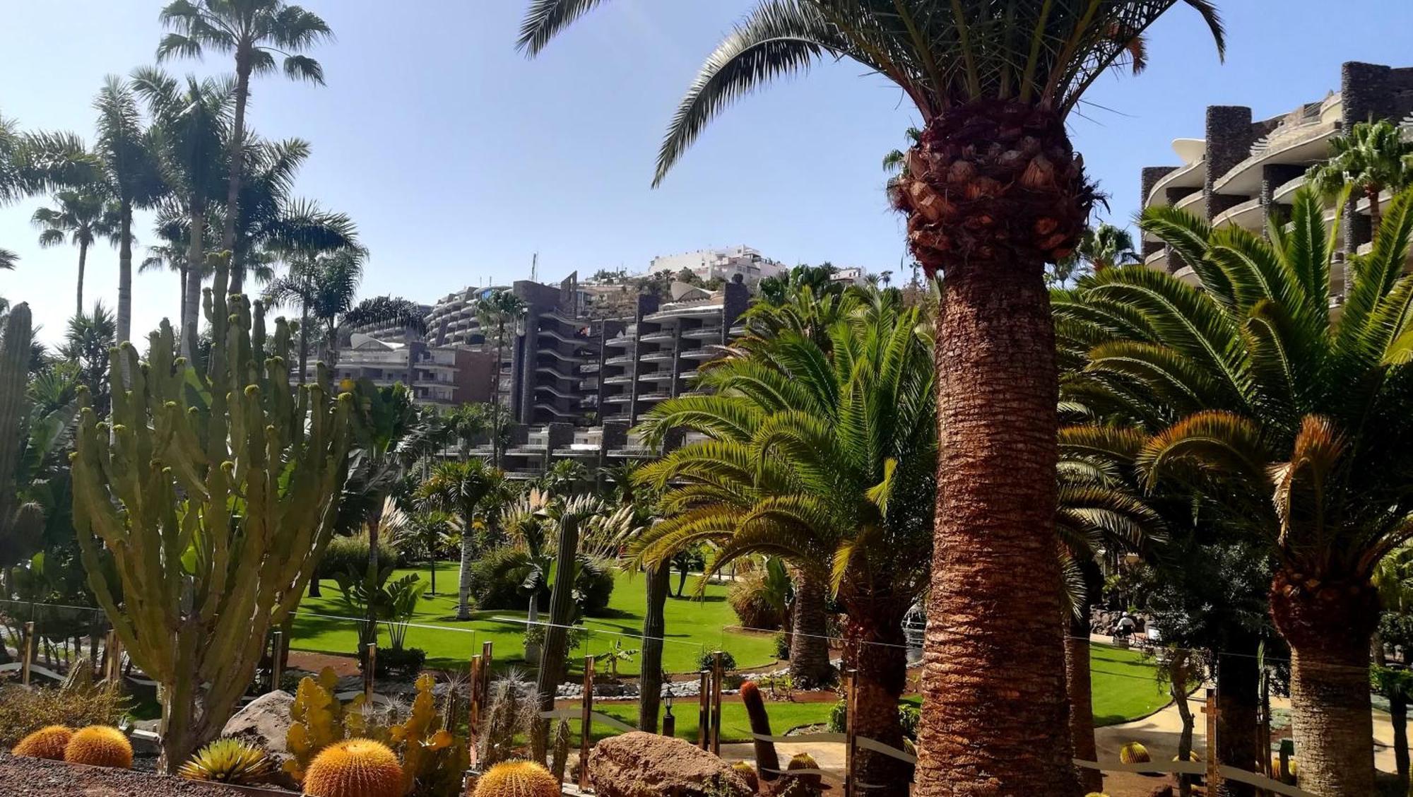 Most Sunny Days On Gran Canaria Пуерто Рико Екстериор снимка